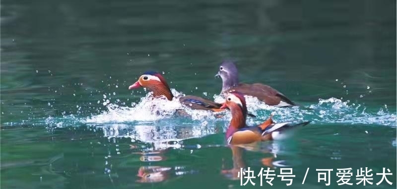 李歆#绥阳:“水彩画家眼中的”十二背后“”