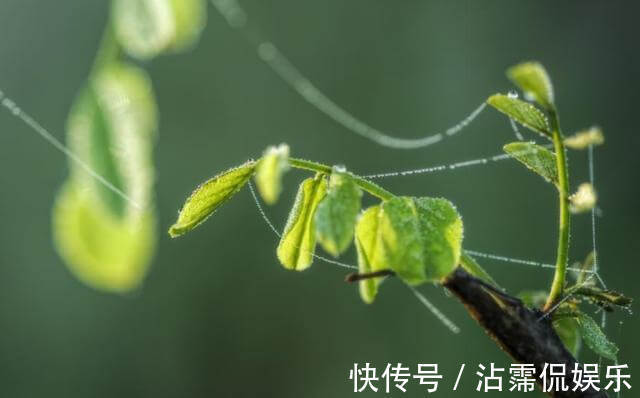 生肖|7月之前，运势解冻，喜鹊喳喳叫，财运上升，日子过得舒适的生肖