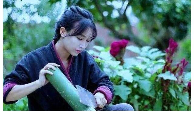 干活|李子柒在地里干活,她的名字却上热搜了