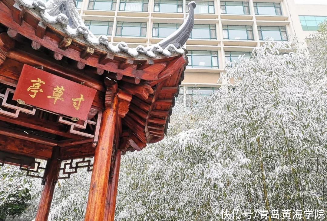  寒冷日甚，顺问冬安|今日大雪 | 大雪