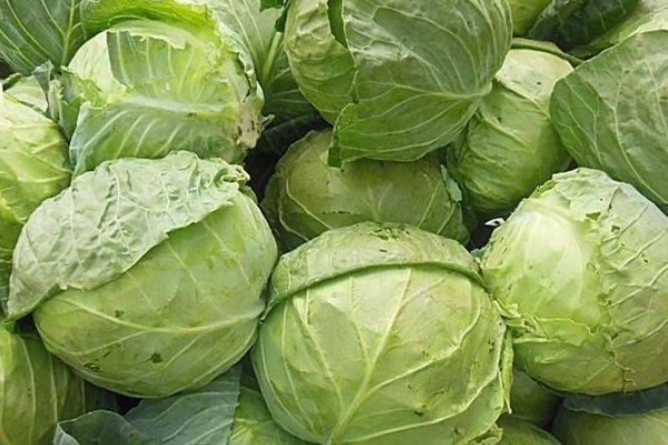 纯天然的“叶酸”找到了，孕妇隔三差五吃一点，胎儿发育更好！