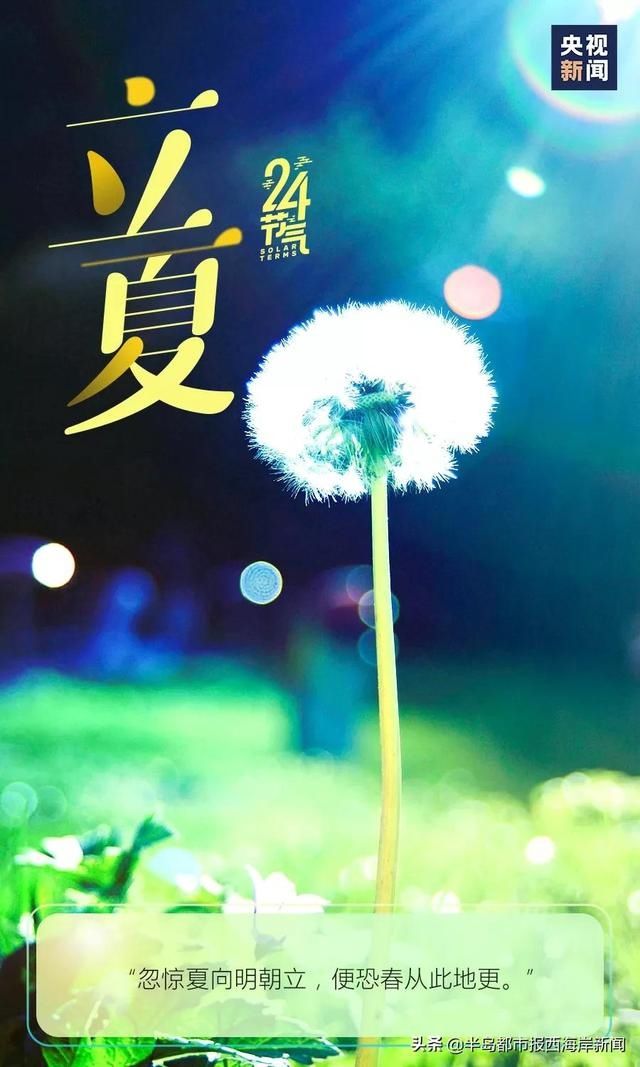 哈喽~夏天