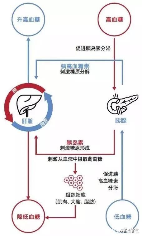 代糖|深扒奶茶行业乱象，加玻尿酸加杀虫剂都是为了让你上瘾？
