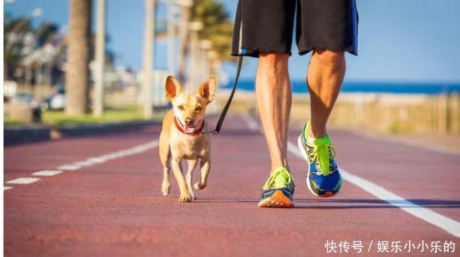 中老年人|想长寿，多走路？平均寿命较长的人，每天都走了多少步？