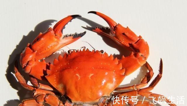 水果再贵|怀孕后,这4样水果再贵都要吃,对胎儿眼睛好,比吃保健品管用