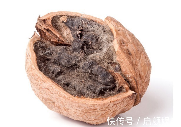 营养成分|食物发芽后有剧毒不能吃有些不仅能吃,营养价值还会变高