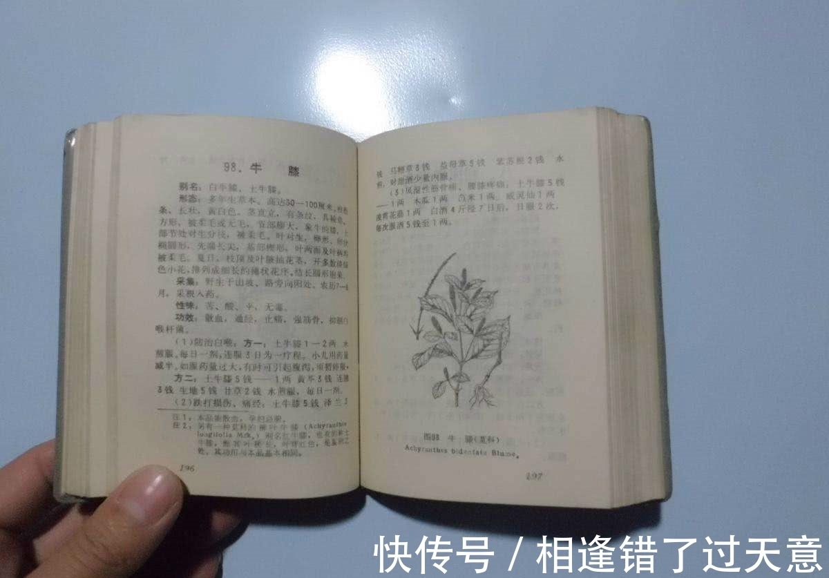 农村|老掉牙的老物件!农村人都不一定叫得上名,你认识几个?
