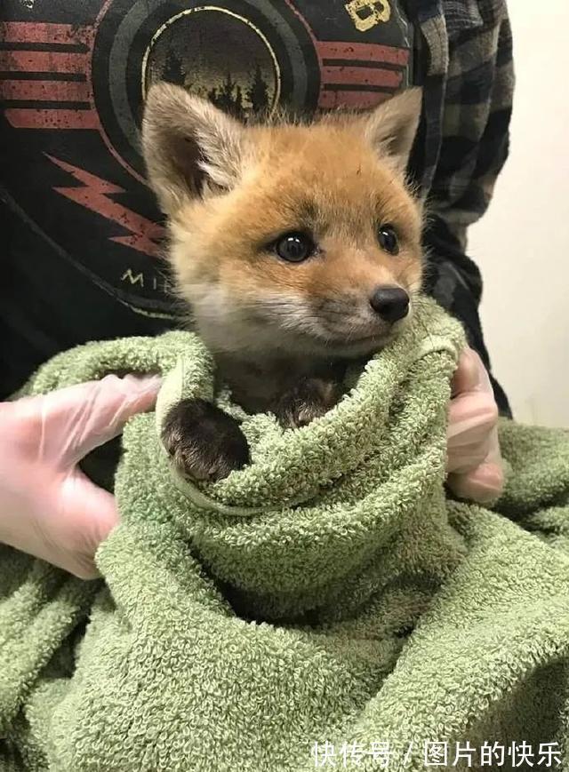 |当你卖掉了前任送的东西  冷段子1805