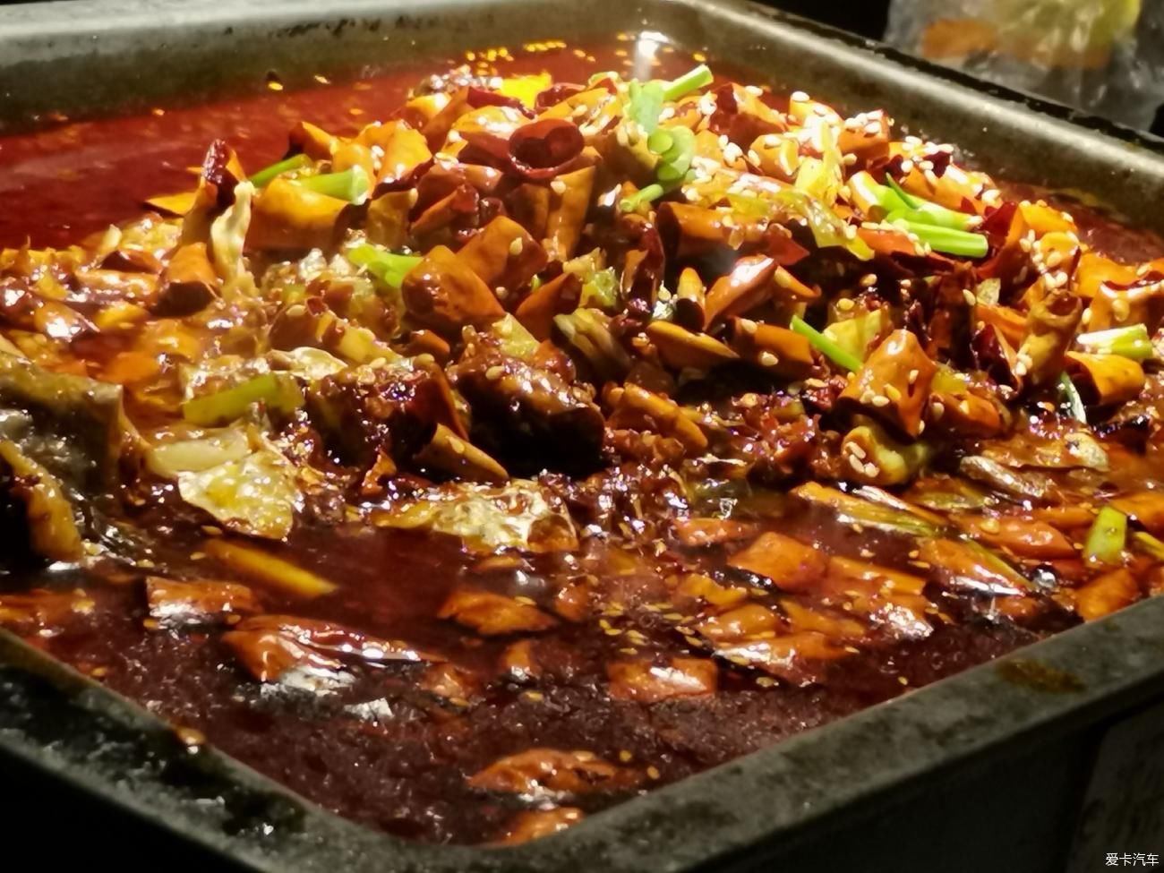 一万年前吃烤鱼一万年后吃探鱼