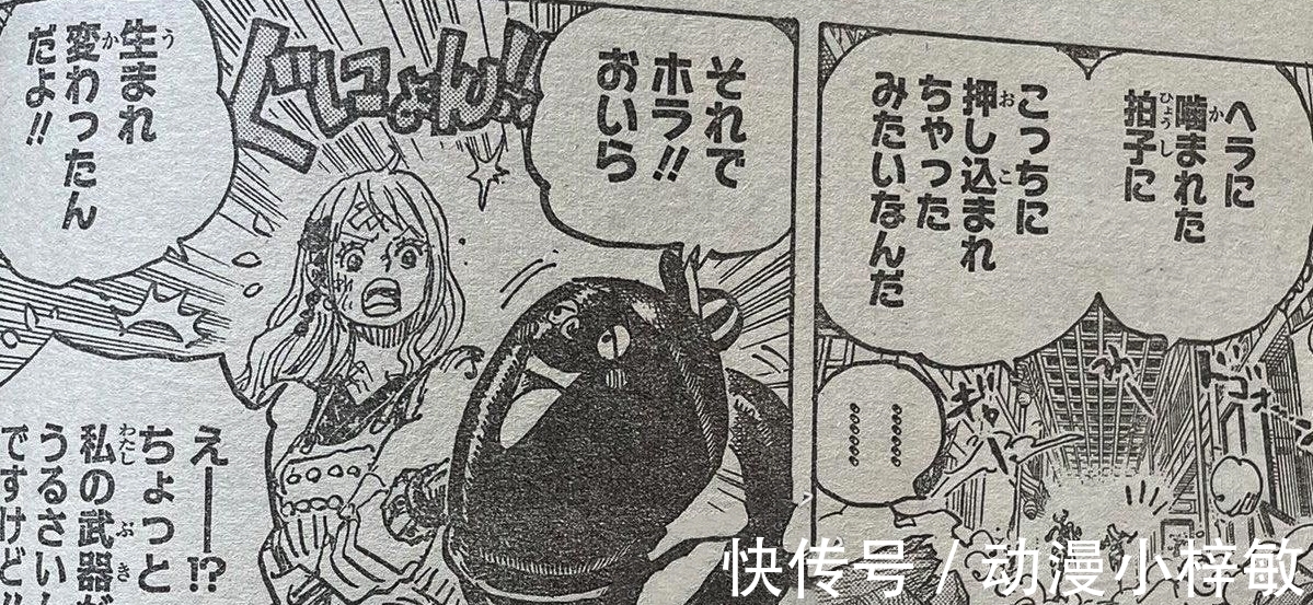 娜美|海贼王1016图解:尾田帮索隆“圆梦”,娜美意外收获四皇招式