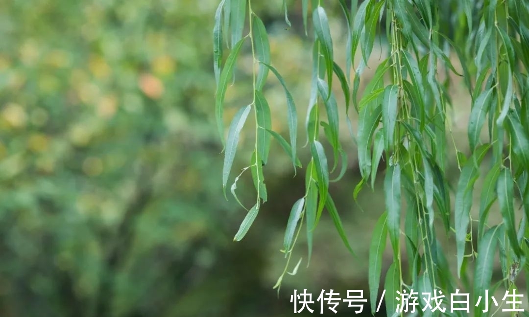 唐·李白&春风不畏寒