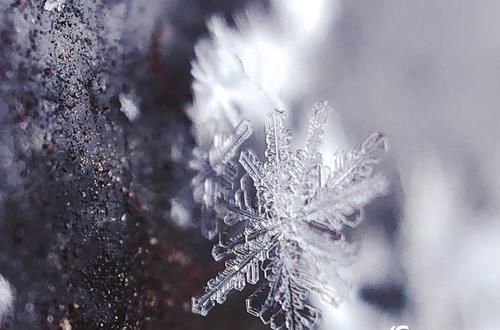 微距看北京雪花 晶莹剔透如艺术品