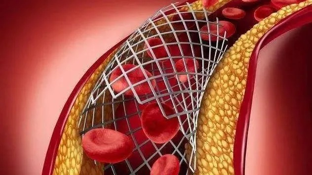 血液|你的心脏还能跳多久？