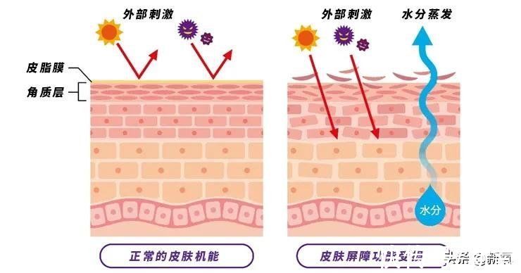 皮肤|第一眼美女们，都做对了什么？