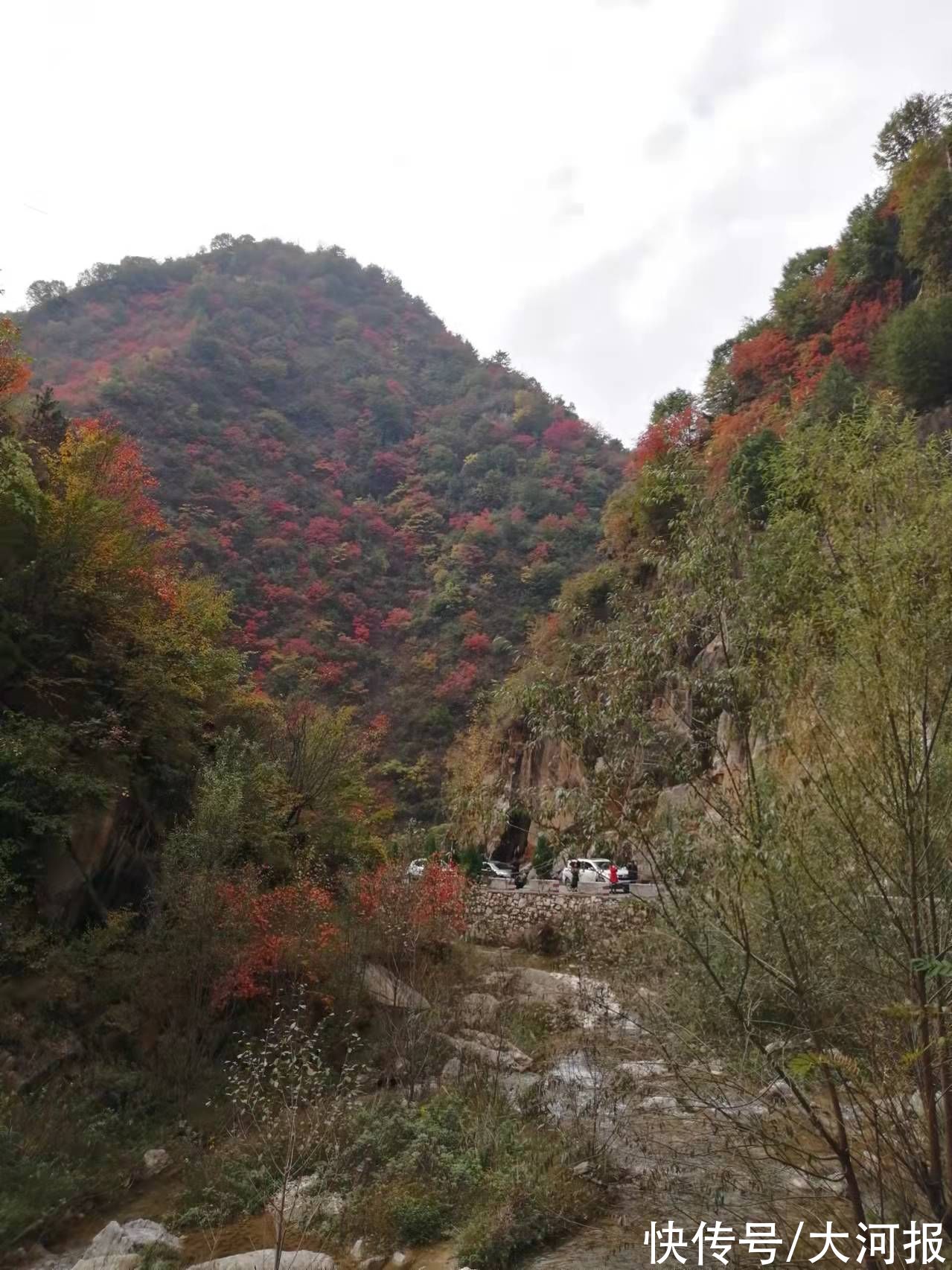 旅游|河南又有两地入选 目前已有13地成为中国天然氧吧