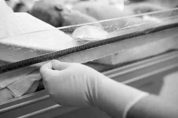 分娩|震撼!实拍产妇分娩全过程,记录新生命诞生的艰辛美好