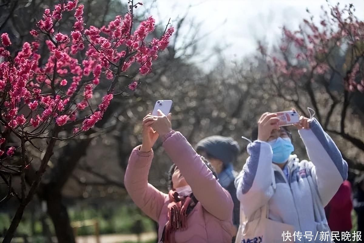 2月20日·上海要闻及抗击肺炎快报