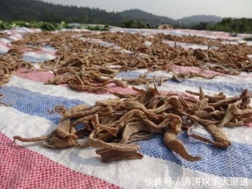 晾晒|在超市碰到这种菜,别问价格赶紧买!又香又脆又下饭,买到赚到