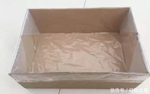 鞋盒原来也是养花一绝,能栽花种菜和沤肥,又省了好几百块钱!