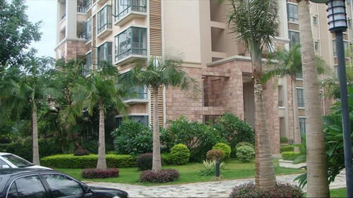 楼层|买房时就剩2楼、13楼、14楼、18楼和顶楼,该如何选呢?