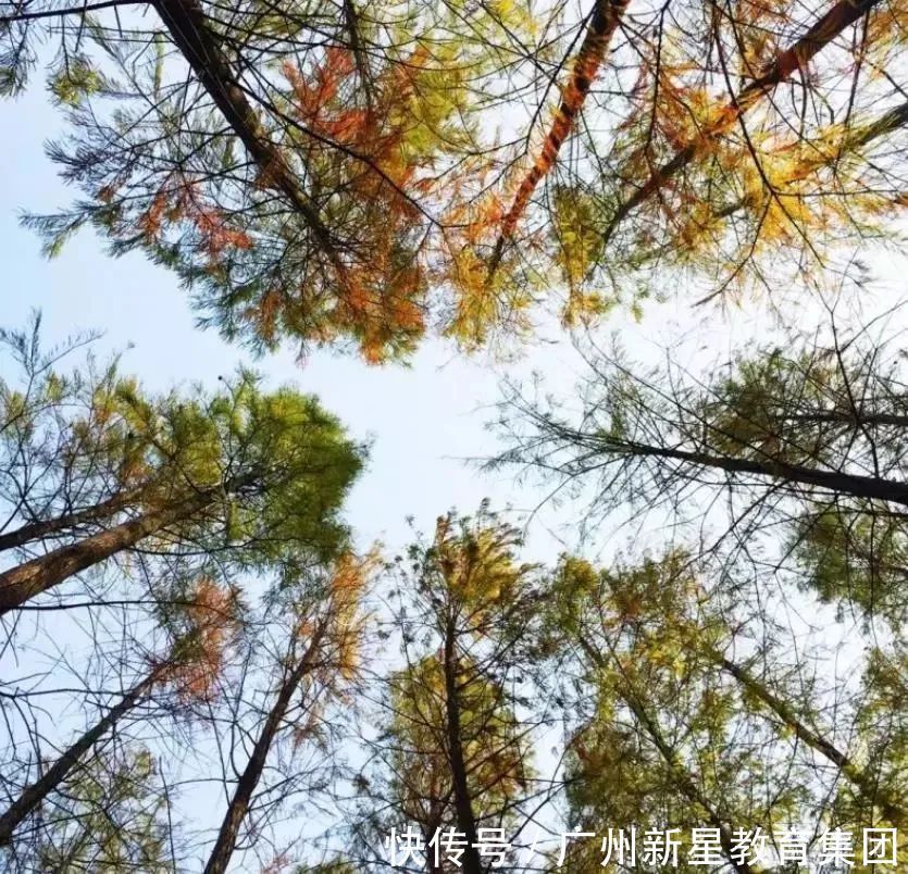 北方大雪纷飞,南方艳阳高照|新星百科 | 百科