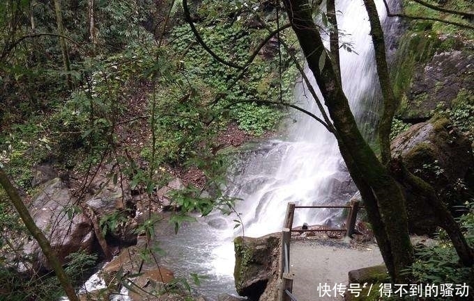 避暑|中国最美峡谷风景区-卧龙谷 最高的避暑休闲、清心养身的天然胜地