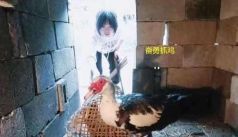 蘑菇|李雪琴，之前還真是“小看”你了