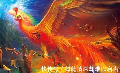 拉丁文|美国国鸟是鹰,法国的是雄鸡,中国的国鸟是什么?很多人都答错了