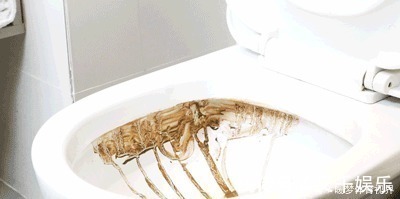 臭剂|建议大家:如果不差钱,给卫生间添置5件“高级货”,幸福感倍增