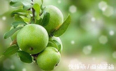 血管|会吃的人最健康，推荐几种食物，养护血管，降压降脂，好处多多