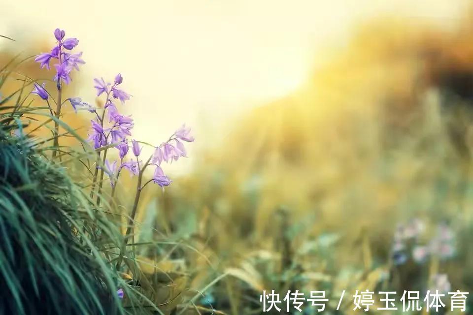 月子|“为了避免婆媳矛盾,别让我妈照顾你月子了”可以,我有一个条件