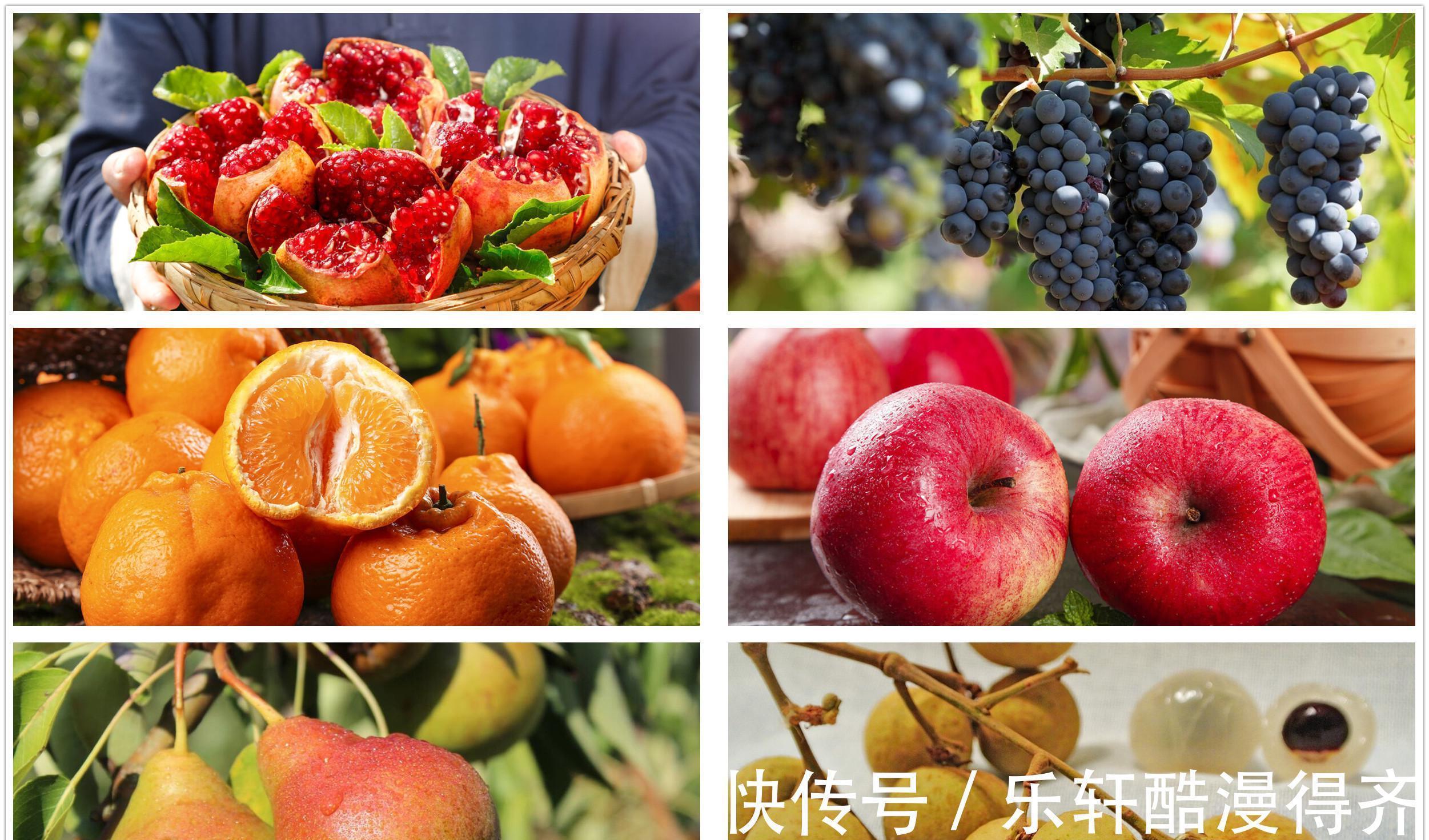 柑橘|秋天,6种碱性水果碰到别手软,常买常吃,平衡身体好过秋