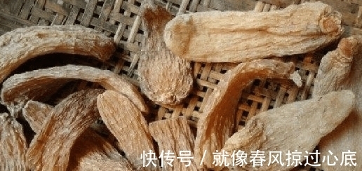 天麻|这个东西堪称「民间仙药」, 降血压、止头晕、通经络, 身体虚弱更应该多吃一点!