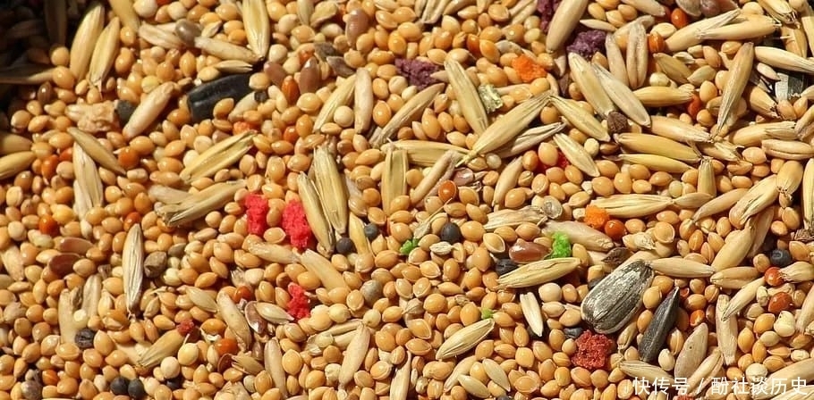 别再一直吃大米啦,改善体质加营养,这6种“长寿米”别错过!