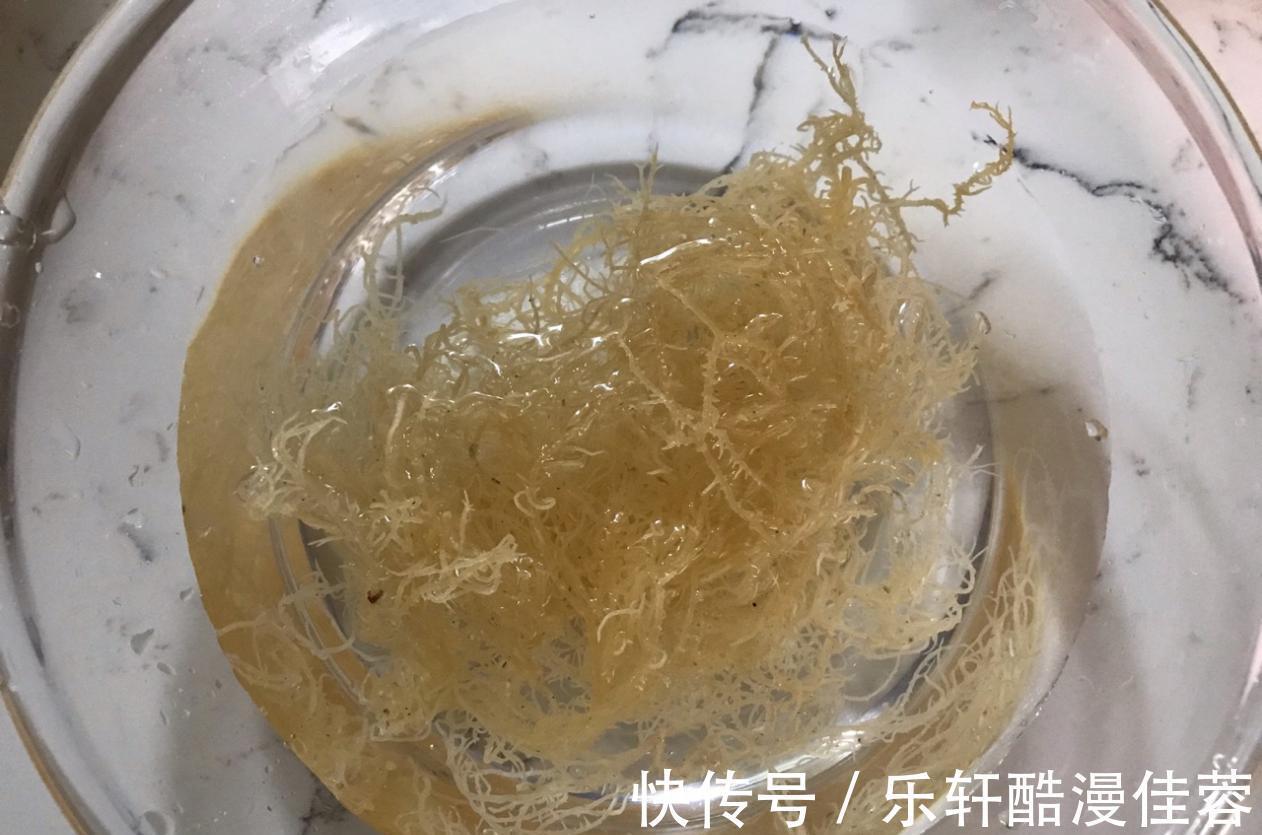 海石花|天热没胃口,试一试这道凉拌海石花,清爽可口,看着就想吃