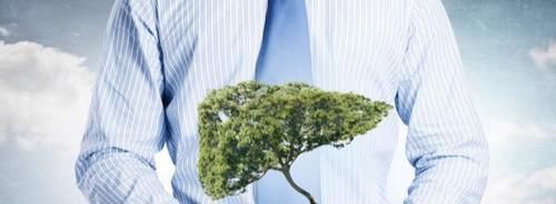 枳椇|想养好肝脏，饭后“一不要”，睡前“二不要”，这些越要越好