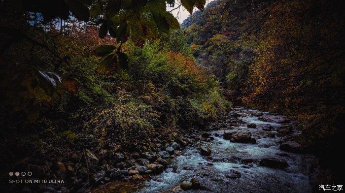 自然保护区|开着大唐去旅行——穿越太洋公路，赏黄柏塬醉美秋色（中篇）