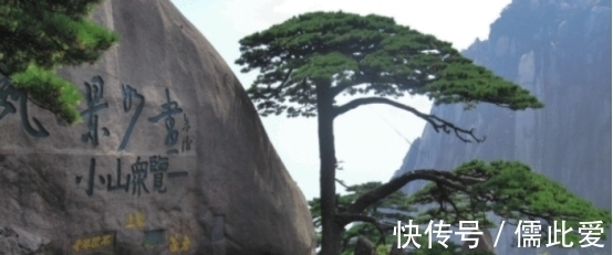 叶子|世界上最珍贵的树,历经20多代护卫员坚守,掉下一片叶子都要上报