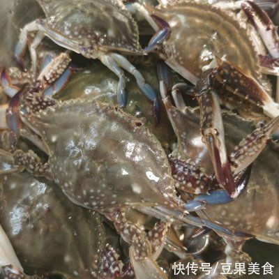 螃蟹|有了红烧炝炒梭子蟹懒人不定外卖也能吃好饭