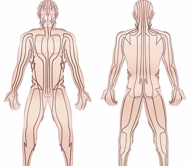 心包|肝经当令在凌晨1点,其实,一个时间三个穴位,不熬夜也养肝养心