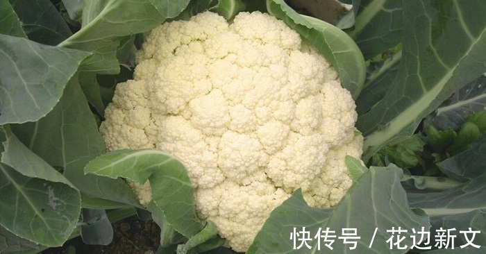 大蒜|男人若有前列腺炎,多吃4种食物,远离炎症更健康