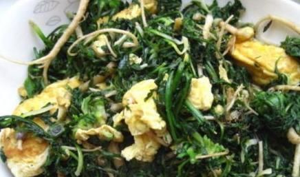 常吃|養(yǎng)生常吃此菜,皺紋淡了,濕氣沒了,大肚子平了,顯年輕