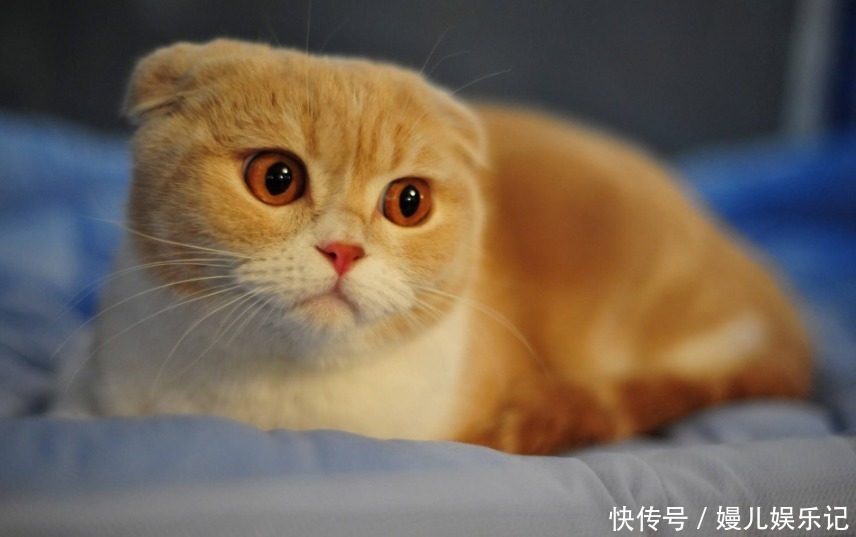 焰里寒冰结@和尚烧火时悟出首禅诗,短短20个字无一生僻,却令人百思不得其解