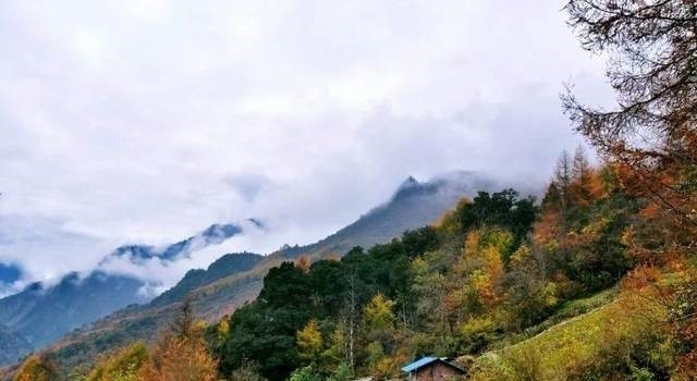 牛羊|「日思夹」徒步小众高山牧场