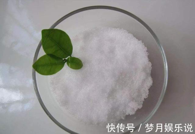 钾肥|什么羊粪、淘米水都不如“1勺粉末”,浇水加一点,25天吐花苞