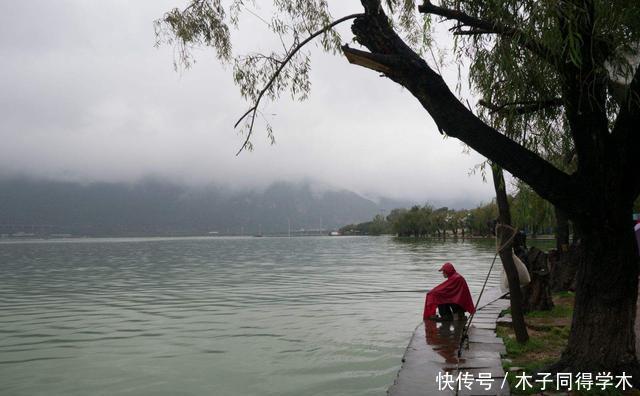 雾化|夏天最好的钓鱼天气：暴雨过后，钓点、饵料、对象鱼详解