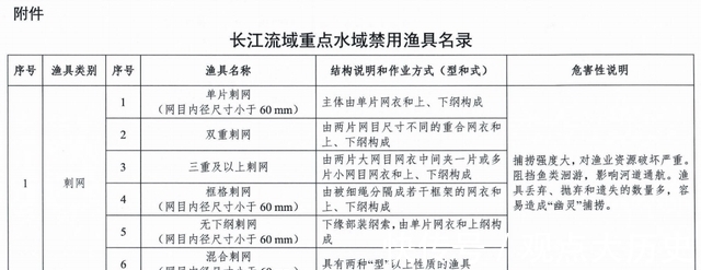 钓友们|路亚钓法将“解禁”，垂钓新规来袭，钓鱼人这次有福了