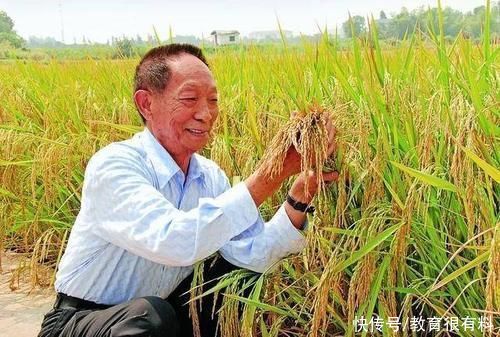 曹德旺|袁隆平写给母亲的文章有多感人？网友：建议加入中小学课本