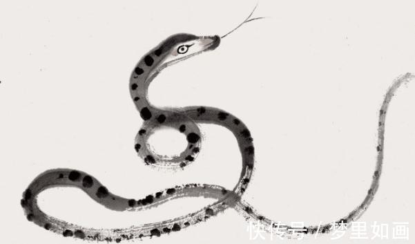 人生肖|2021年生肖蛇的最佳合作伙伴有谁生肖鸡上榜,看看有你吗