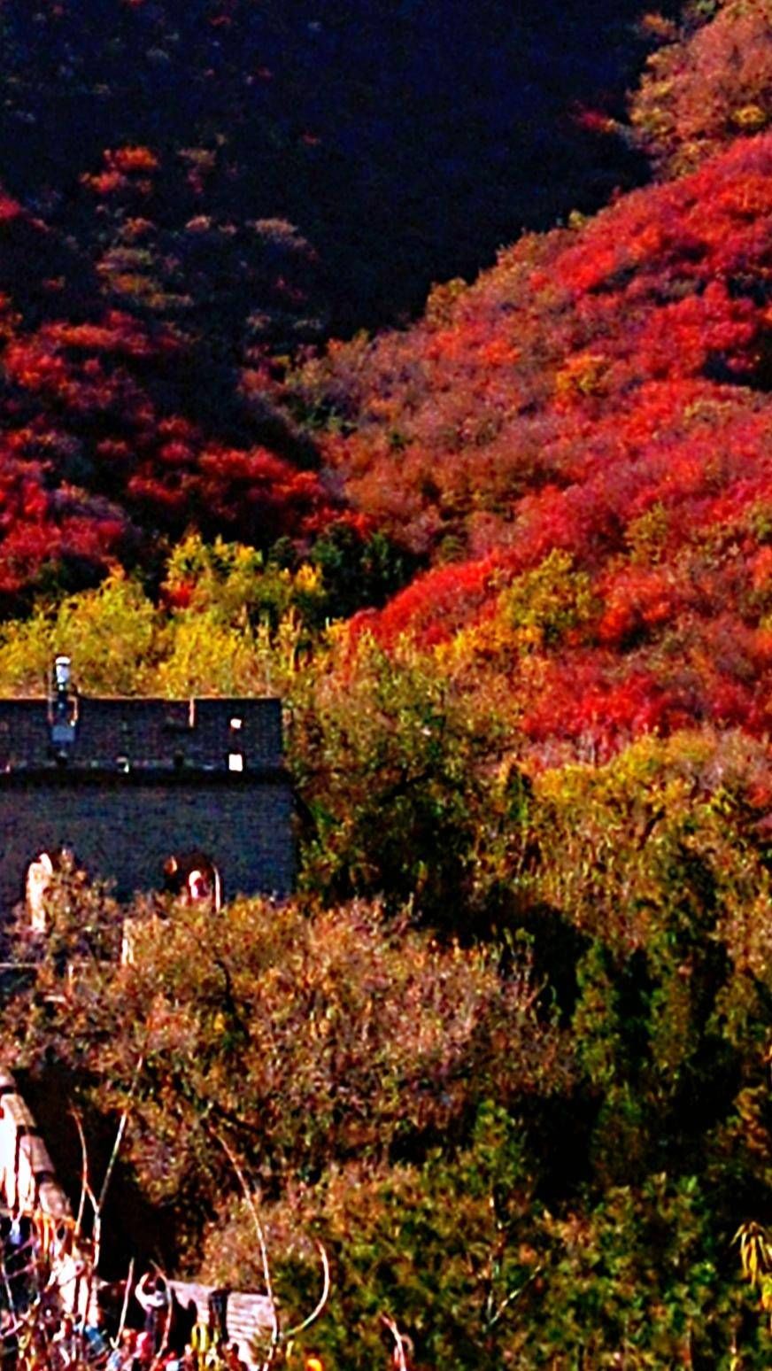 万里长城|巍巍长城亘山川，枫叶流丹，万山红遍，层林尽染，景色万千